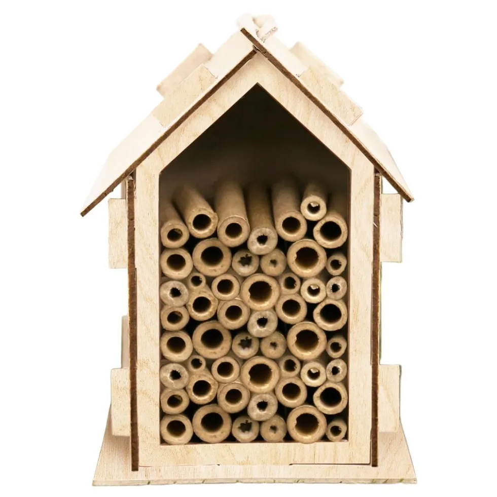 Bihotelli DIY Kit