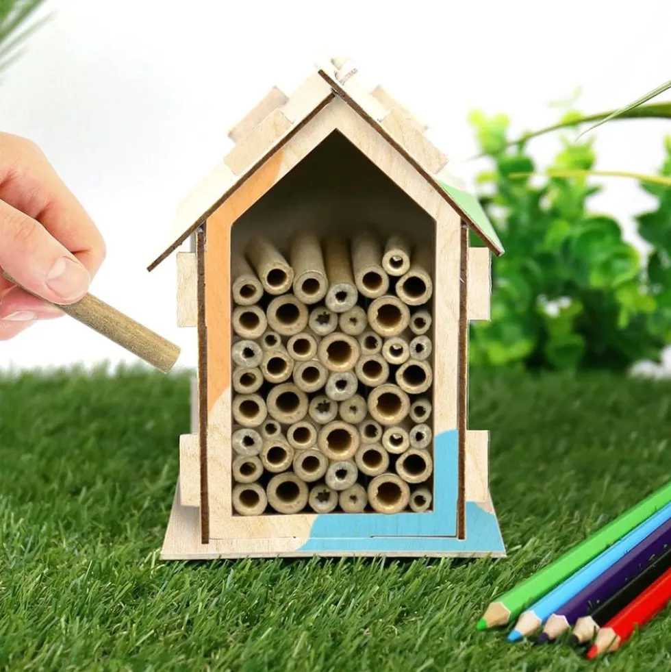 Bihotelli DIY Kit
