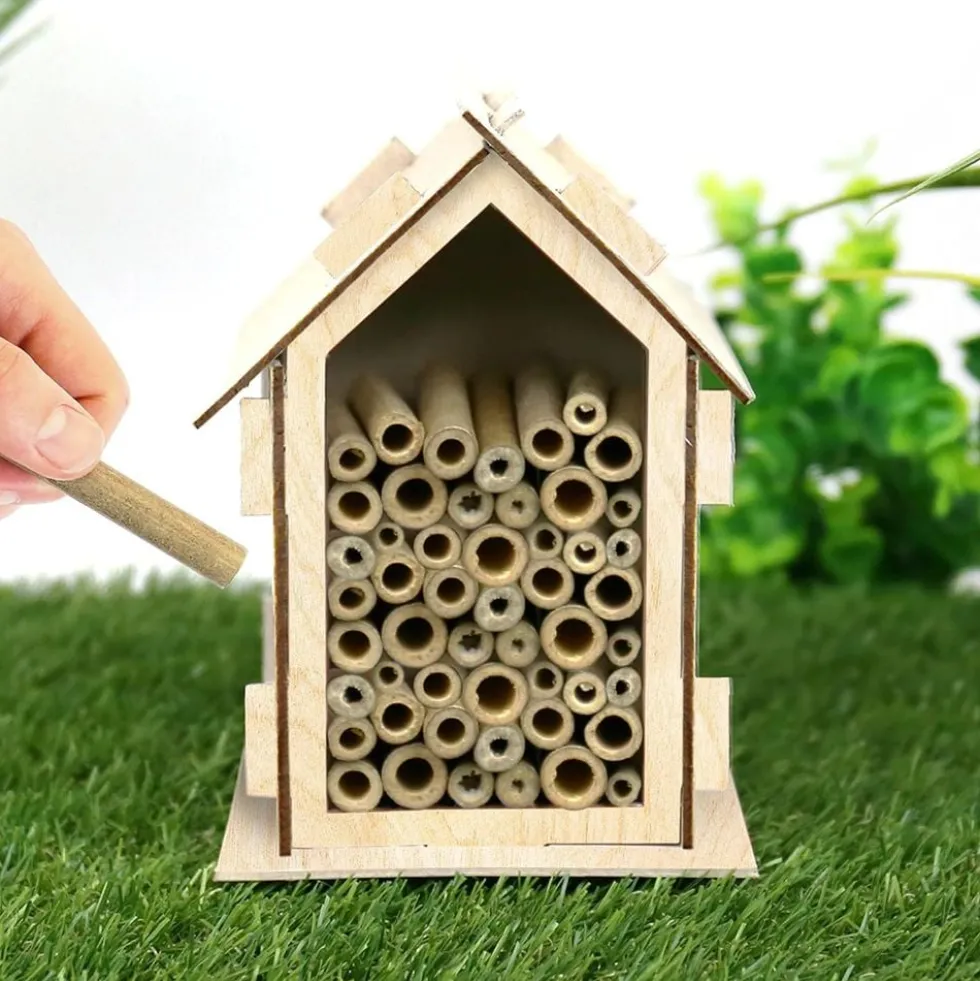 Bihotelli DIY Kit