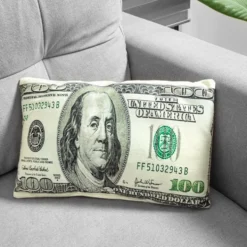 Dollarisetelikuvioinen Tyyny