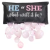 Gender Reveal Dropbag Kit