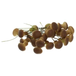 Koristesienet