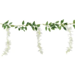 Köynnös Wisteria Kukilla