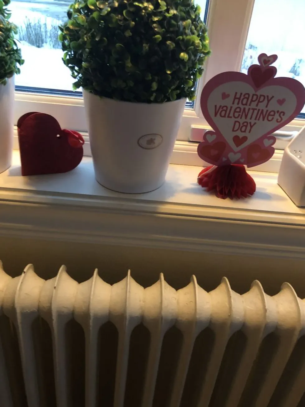 Lahjarasiat Sydämet