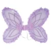 Lasten Violetti Keijunsiipisetti