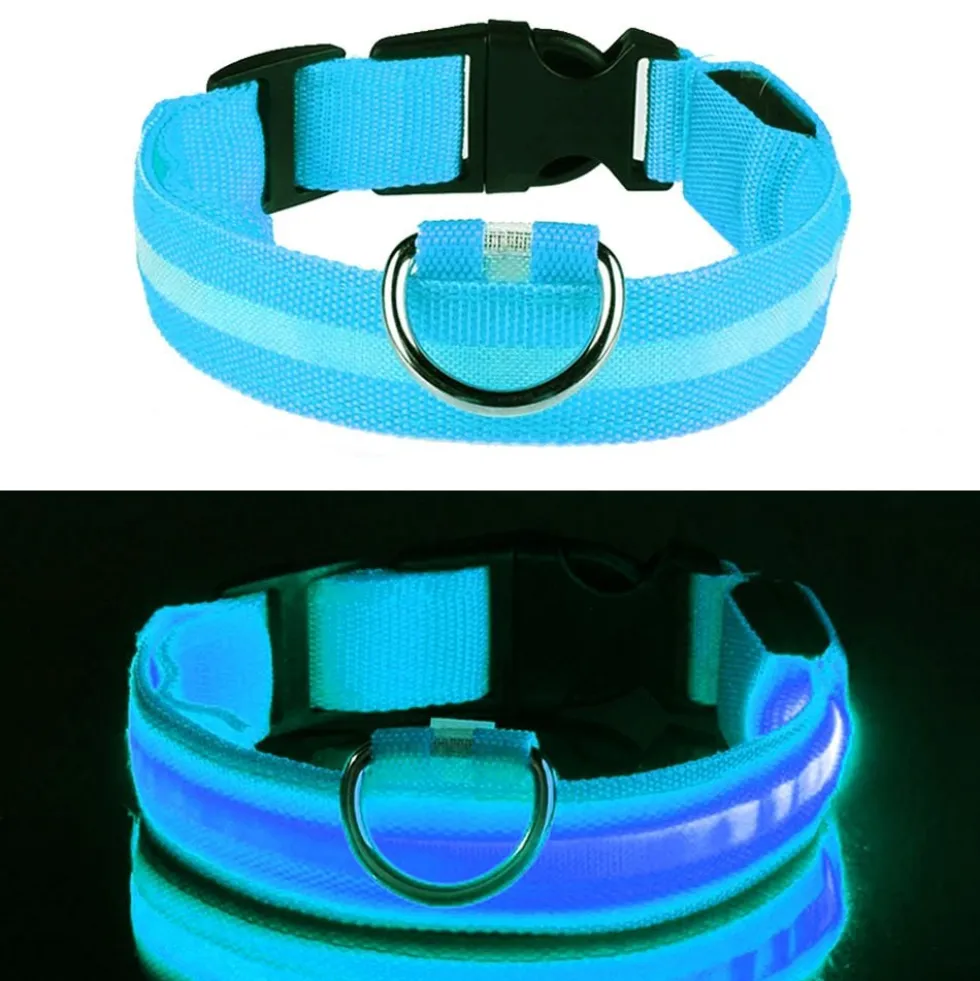 LED Koiran kaulapanta