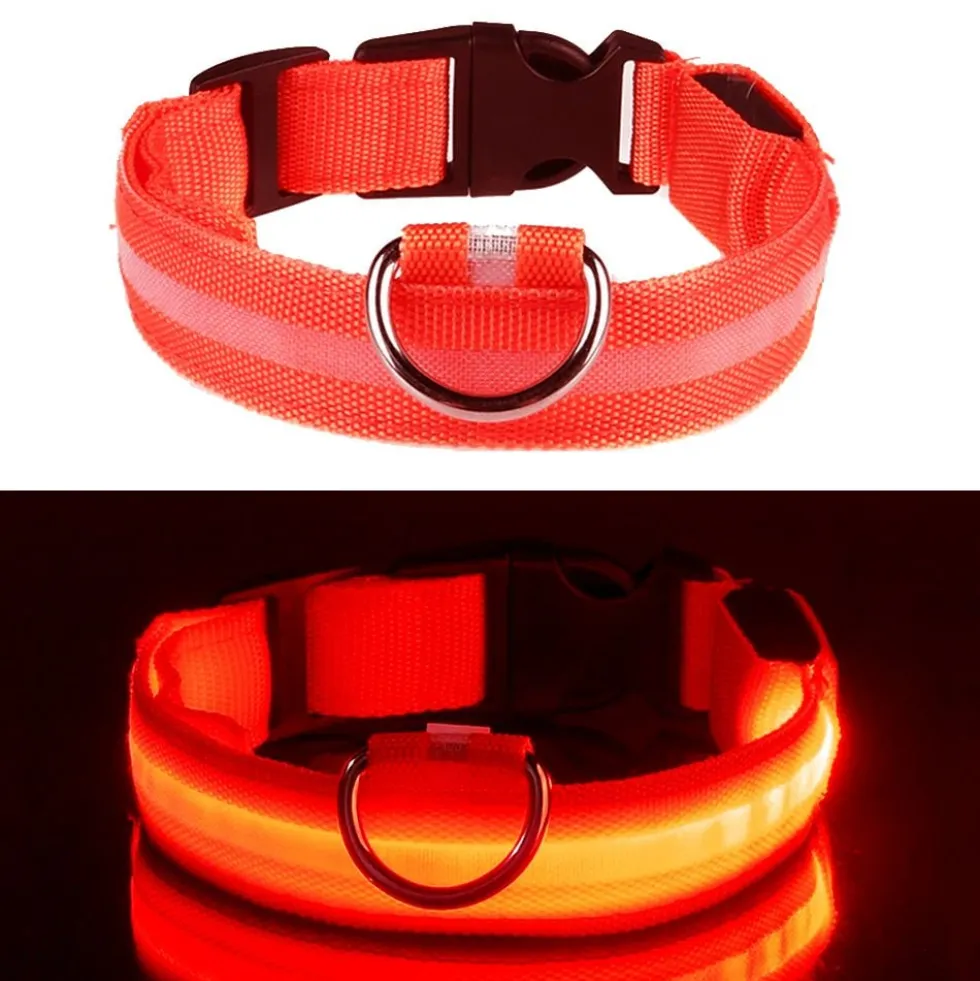 LED Koiran kaulapanta