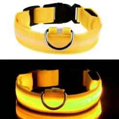 LED Koiran kaulapanta