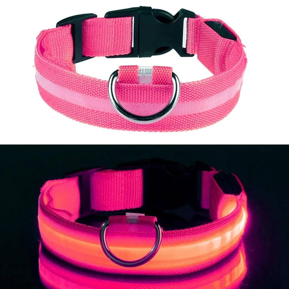 LED Koiran kaulapanta