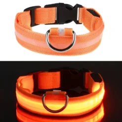 LED Koiran kaulapanta