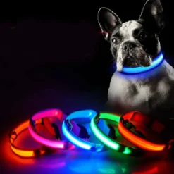 LED Koiran kaulapanta