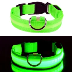 LED Koiran kaulapanta