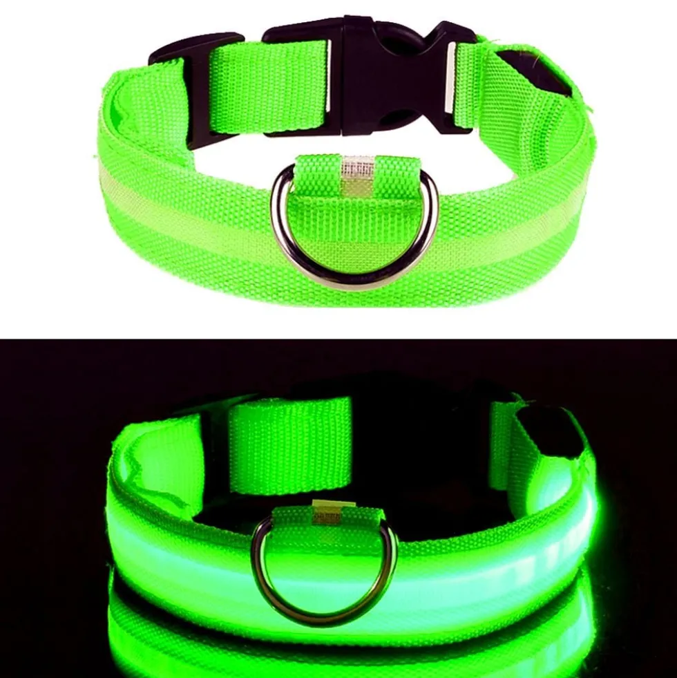 LED Koiran kaulapanta