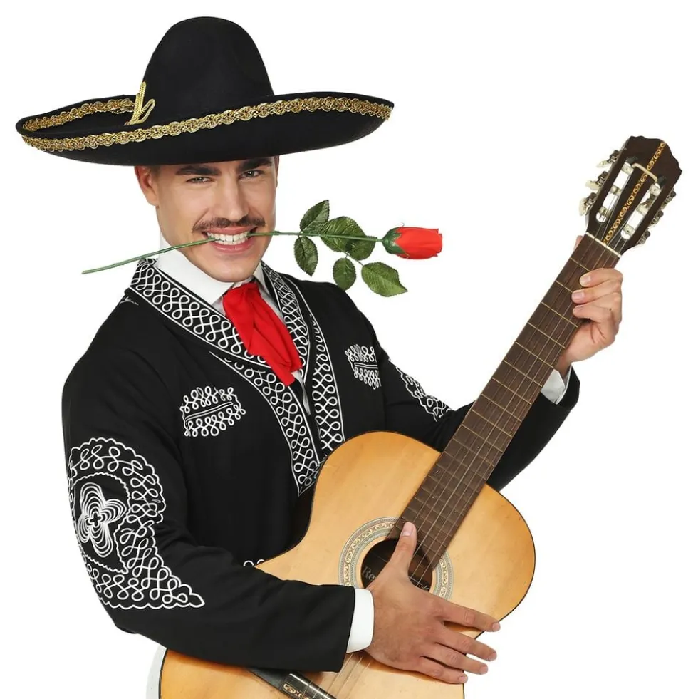 Meksikolainen Sombrero Deluxe