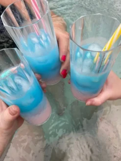 Monin Bubblegum Syrup