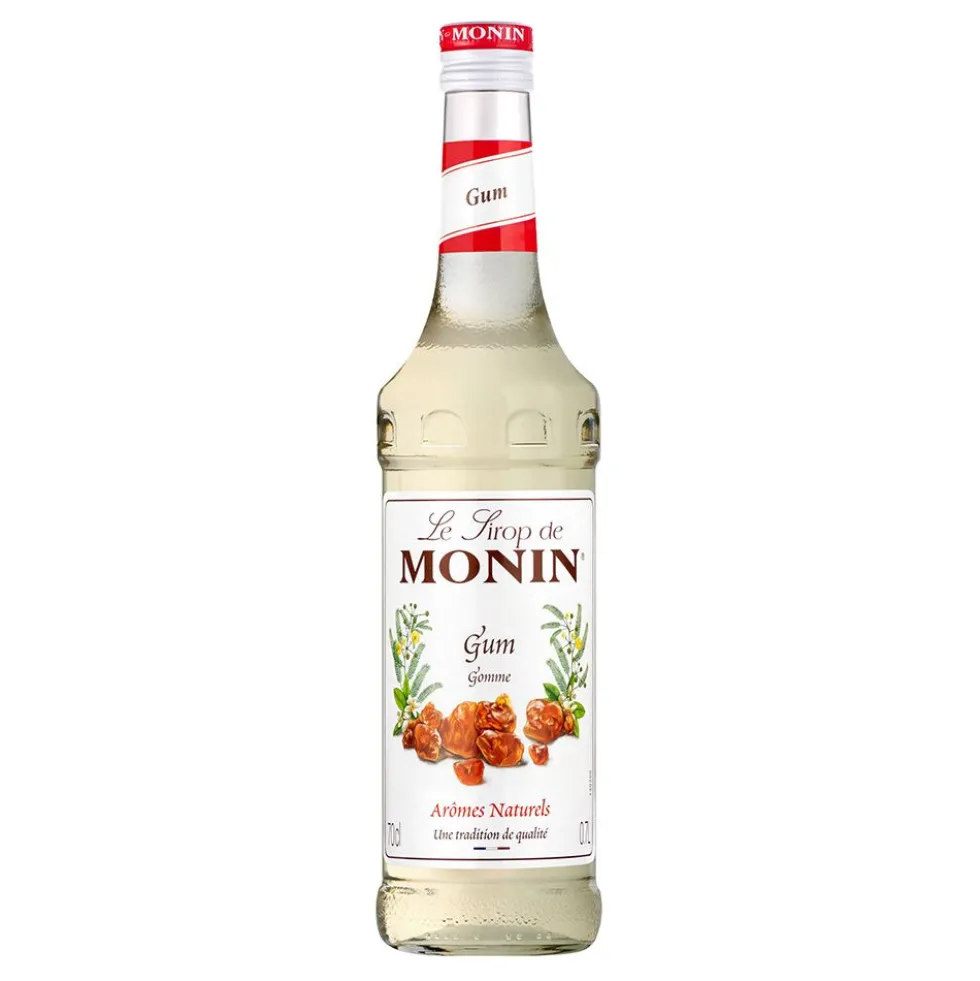 Monin Gomme Syrup