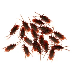 Muoviset torakat