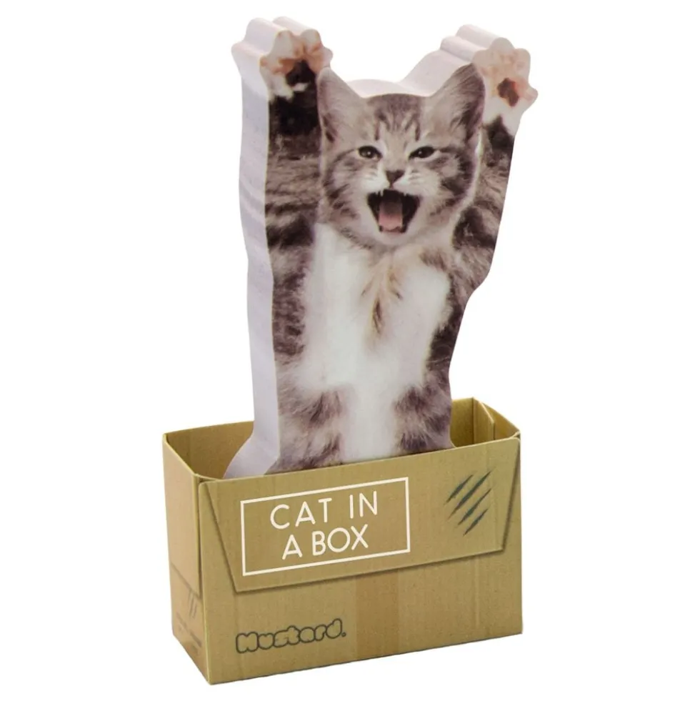 Mustard Cat In A Box Sticky Notes