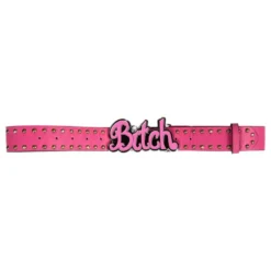 Neonpinkki Bitch-Vyö