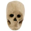 Papier-maché Pääkallo