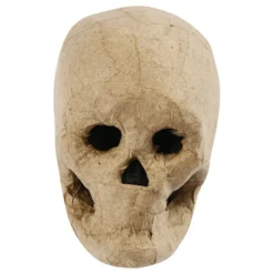 Papier-maché Pääkallo
