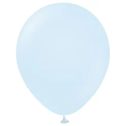 Professional Baby Blue Ilmapallot
