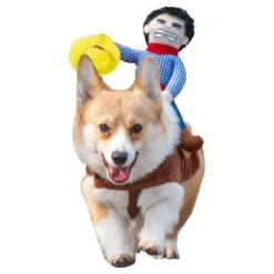 Ratsastava Cowboy Naamiaisasu Koira
