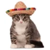 Sombrero Kotieläimille