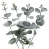 Tekokasvi Eukalyptus