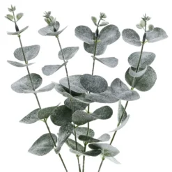 Tekokasvi Eukalyptus