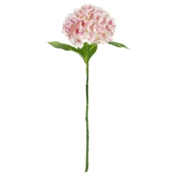 Tekokukka Hortensia Vaaleanpunainen