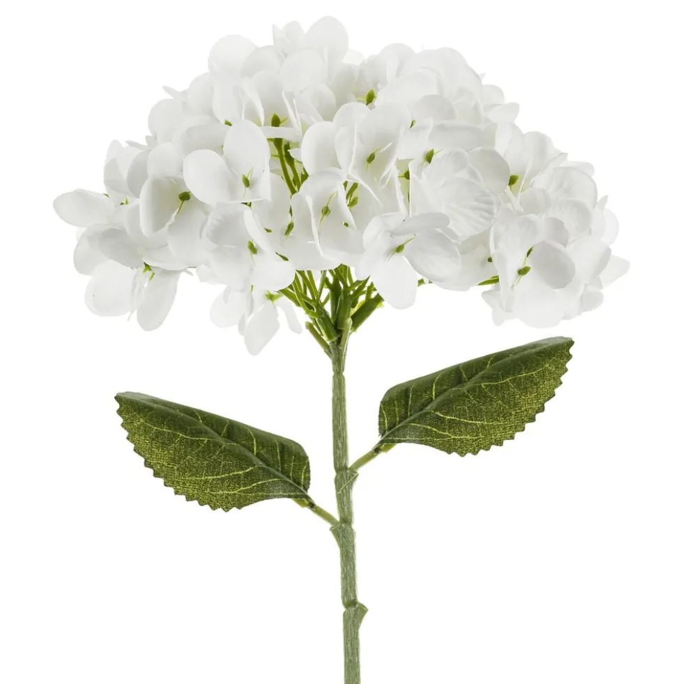 Tekokukka Hortensia Valkoinen