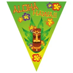 Viirinauha Aloha Hawaii