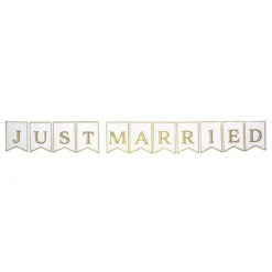 Viirinauha Just Married