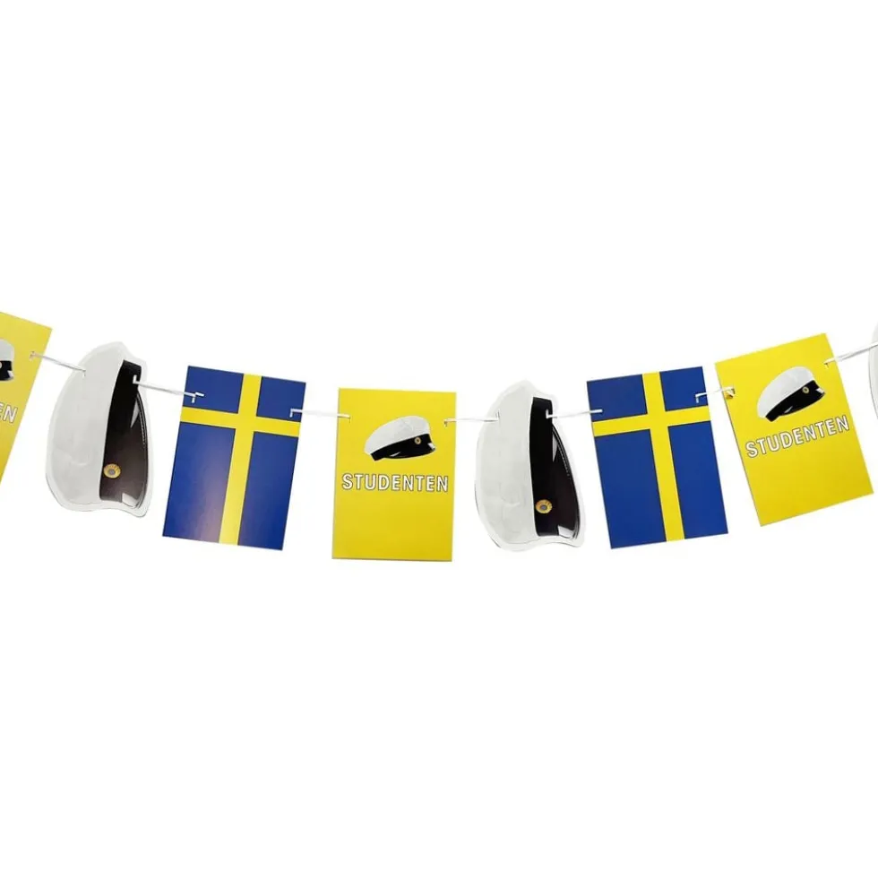 Viirinauha Valmistujaiset